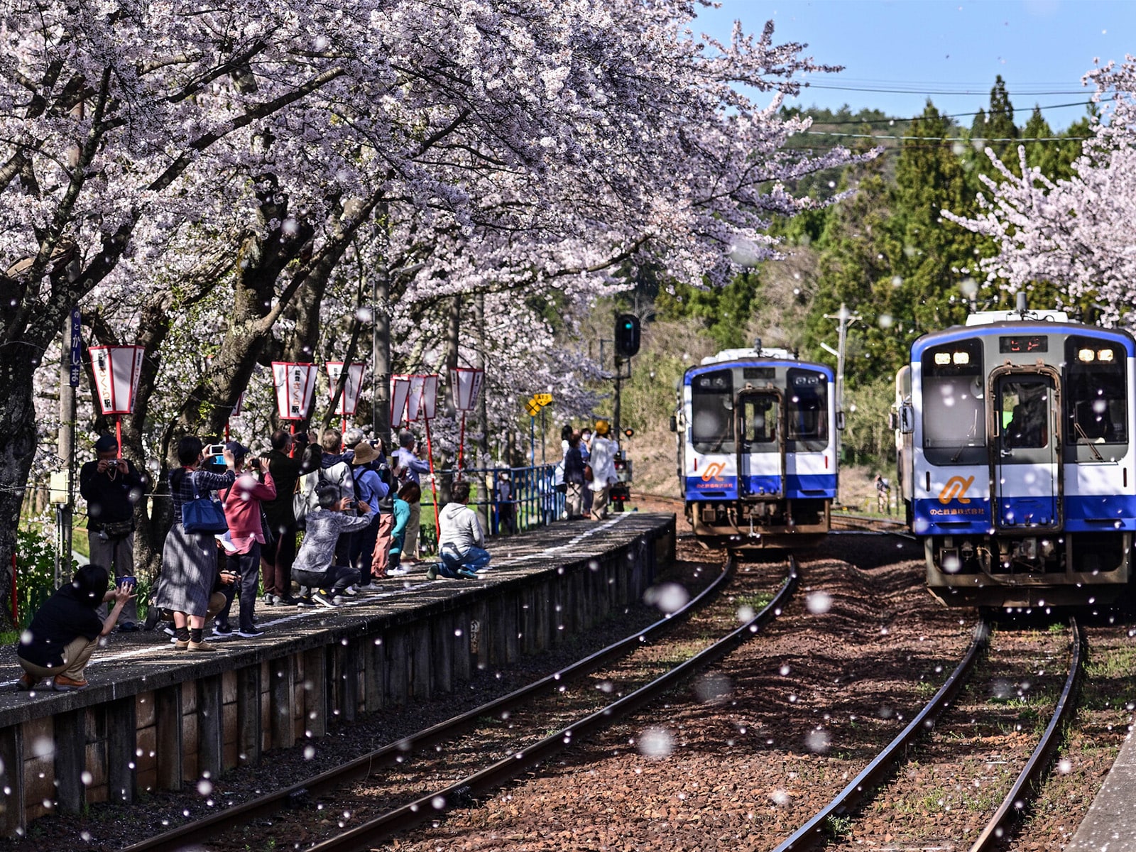 石川で人気の「桜の名所」ランキング