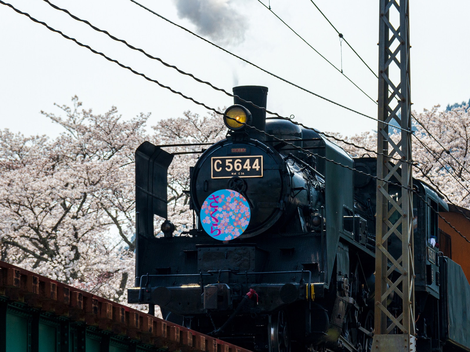 静岡で人気の「桜の名所」ランキング