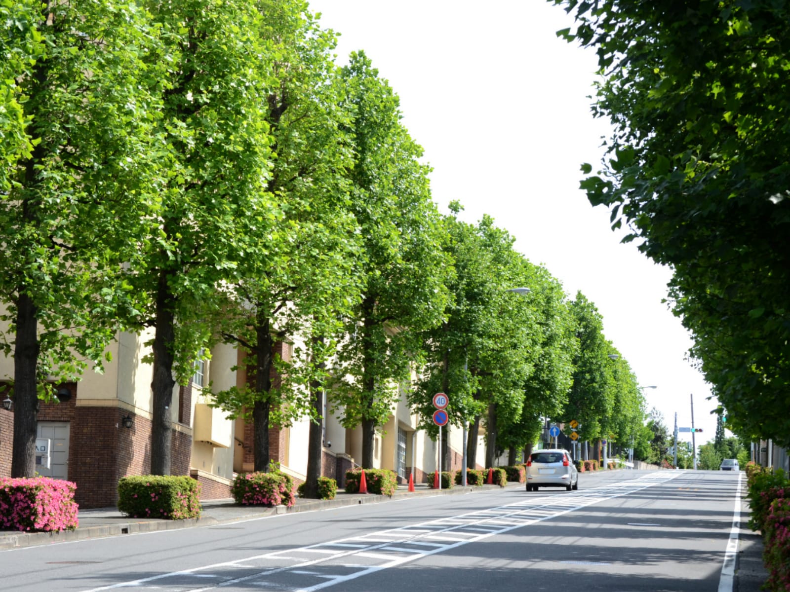 横浜18区で「高級住宅地のイメージ」がある区ランキング