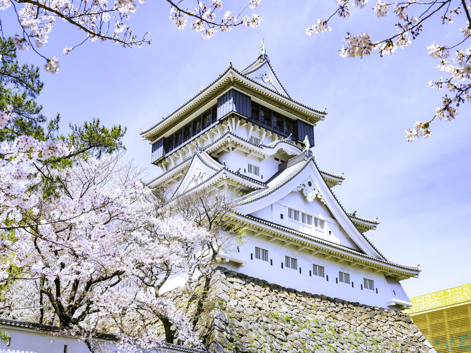 福岡で人気の「桜の名所」ランキング