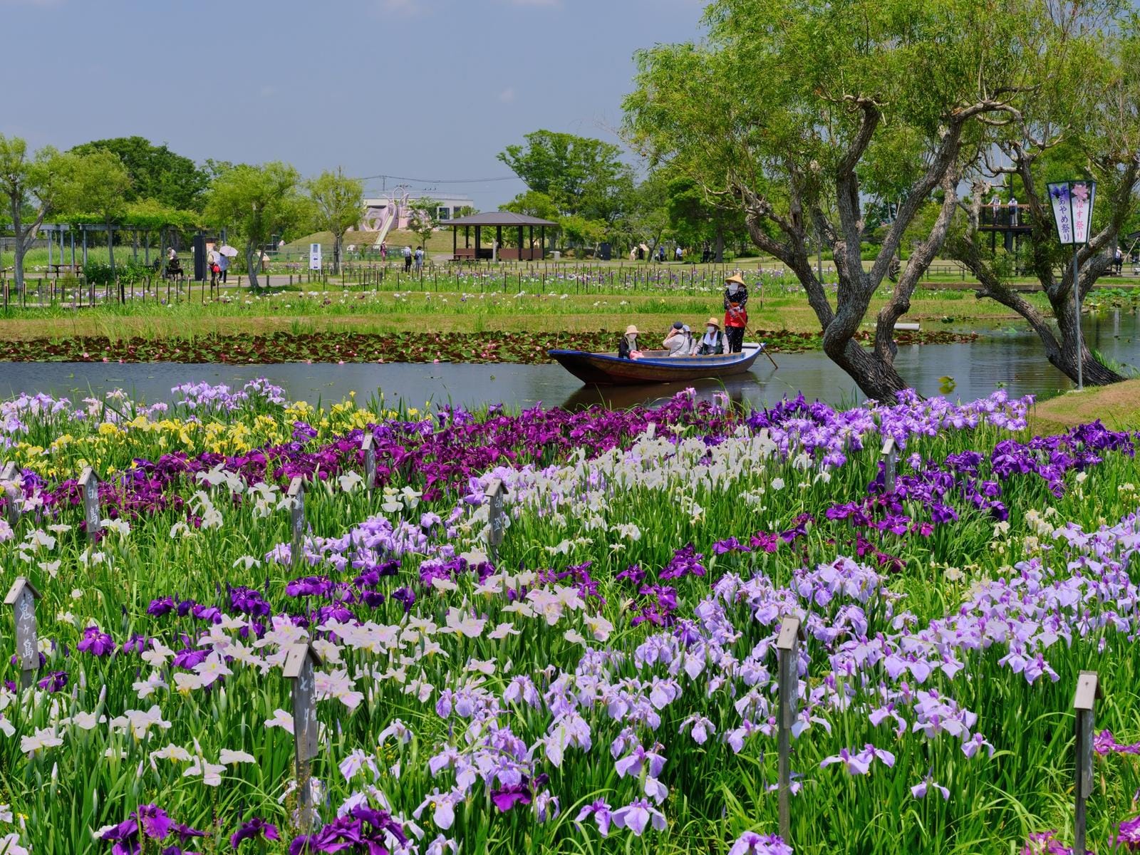 好きな「あやめ・花菖蒲の名所」ランキング