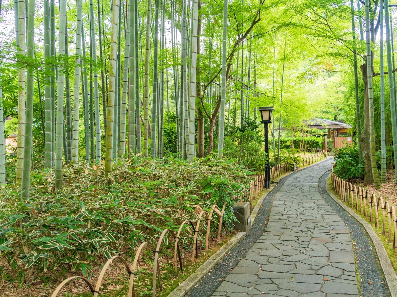 東京から日帰りで行きたい「静岡県の温泉地(伊豆・熱海・東伊豆)」ランキング
