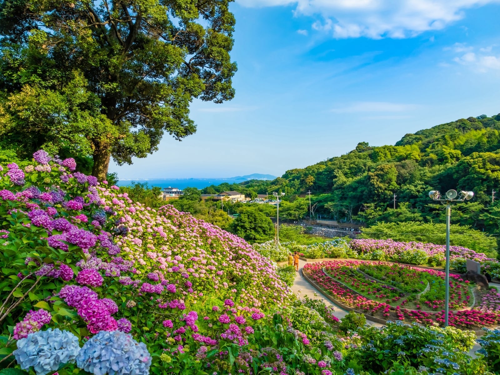 愛知県で行ってみたい&好きなあじさいの名所ランキング