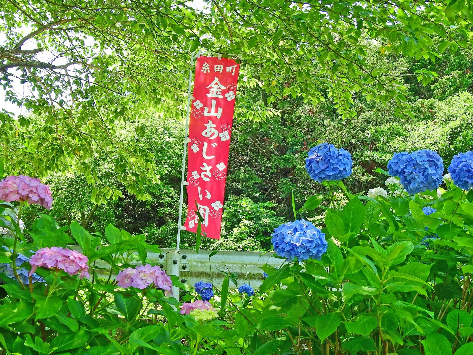 好きな「九州・沖縄のあじさいの名所」ランキング