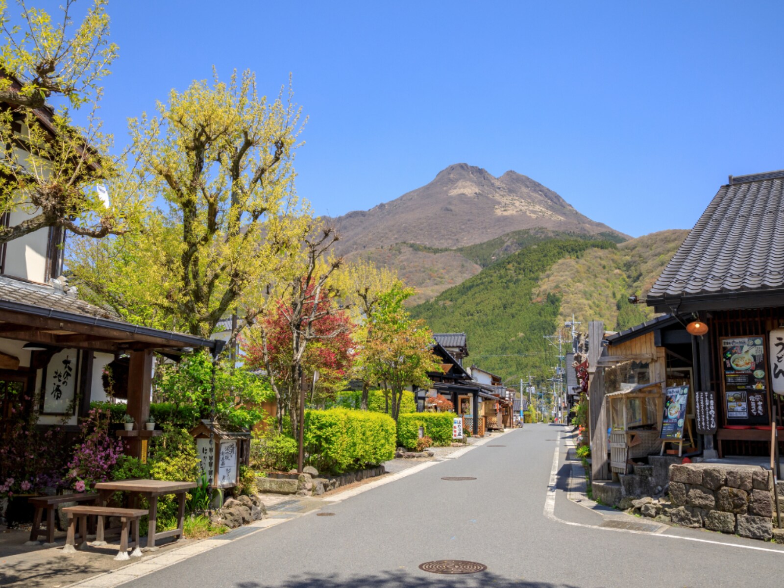 大分県で「外国人観光客にすすめたい温泉地」ランキング
