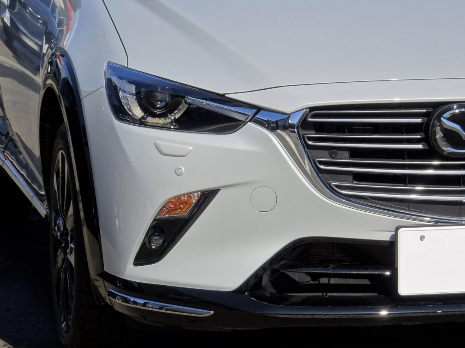 「初めての車として購入したい」と思うマツダの車ランキング