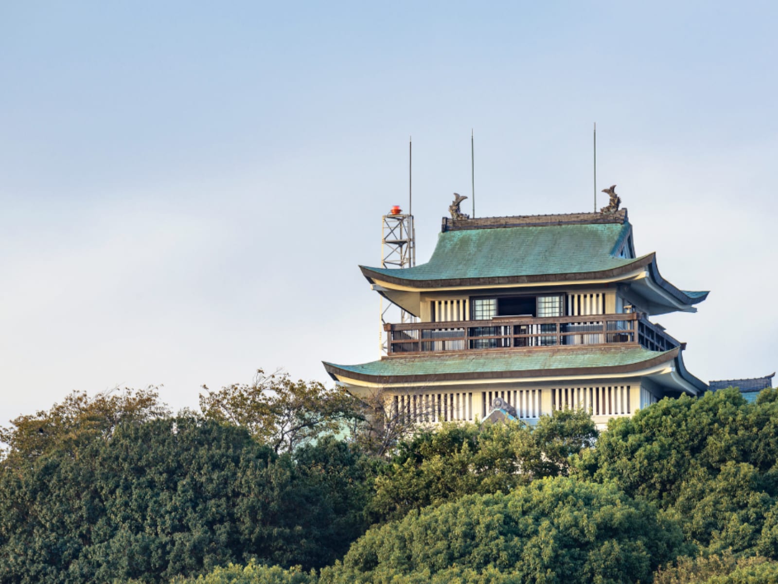 ナンバープレートで地元愛を感じる愛知県の地名ランキング