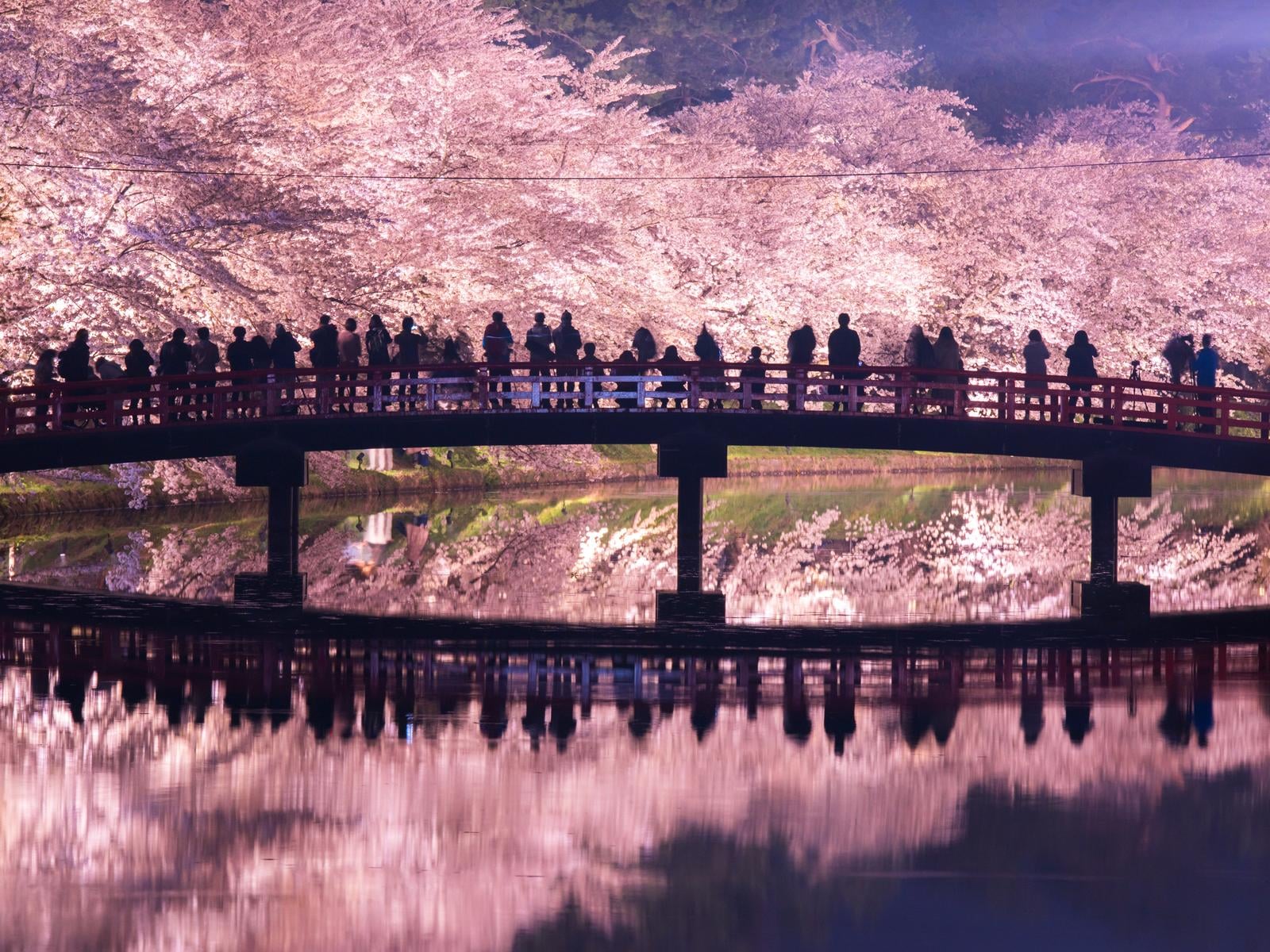 「桜が美しいと思う都道府県」ランキング