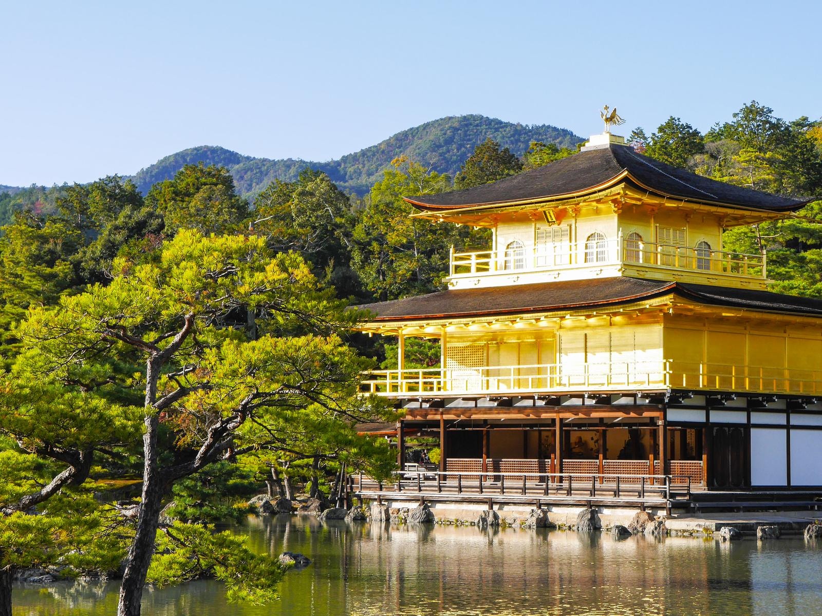 「大阪万博と合わせて行きたい『京都府の観光地』」ランキング