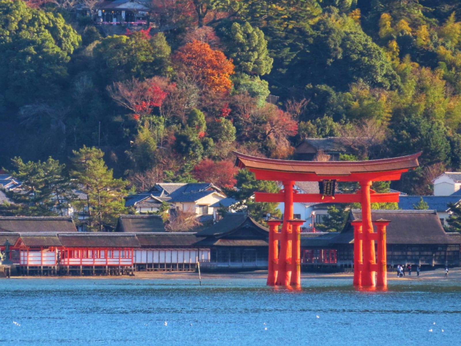 好き&行ってみたい「中国・四国地方の離島」ランキング! 2位「宮島(広島県)」と僅差の1位は?
