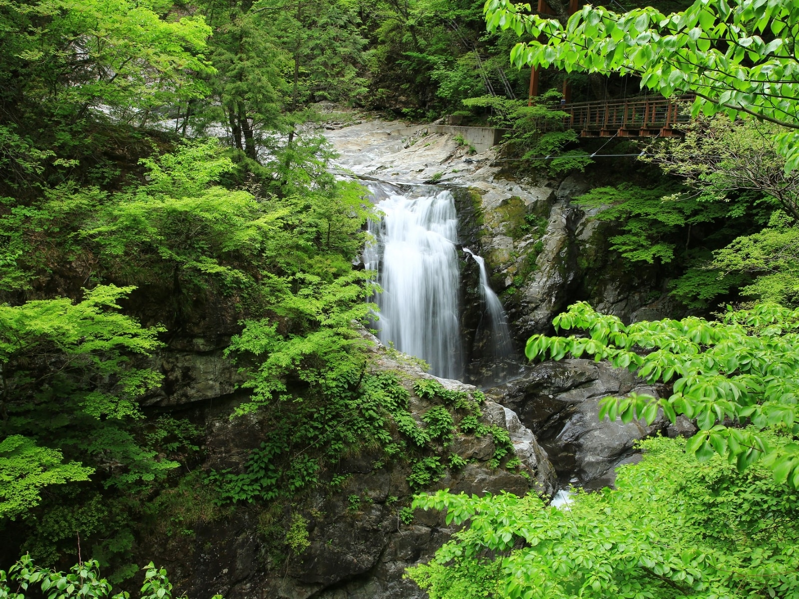 「夏に行きたい奈良県の避暑観光地」ランキング