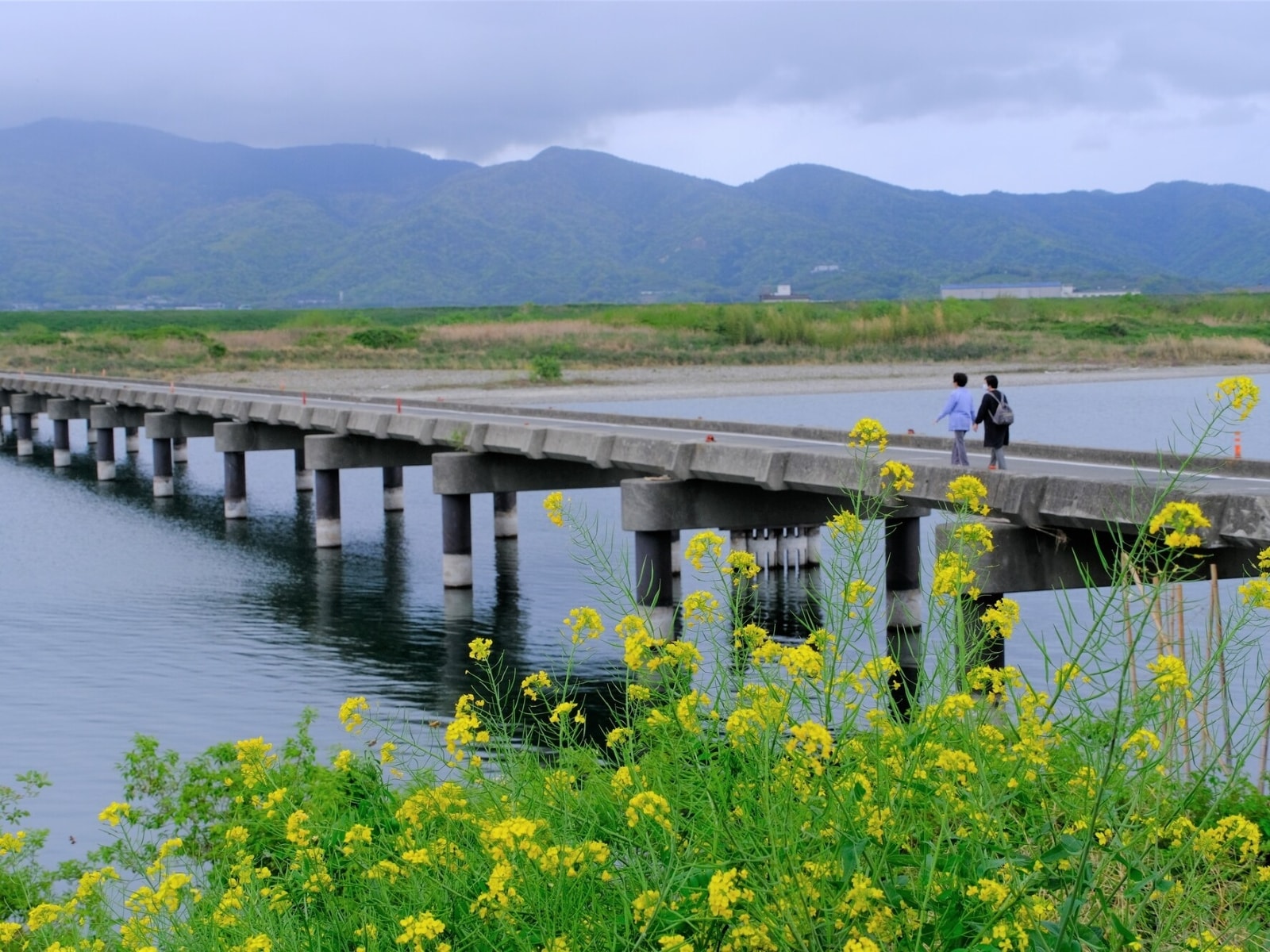 徳島県民が選んだ「住みここち(自治体)」ランキング