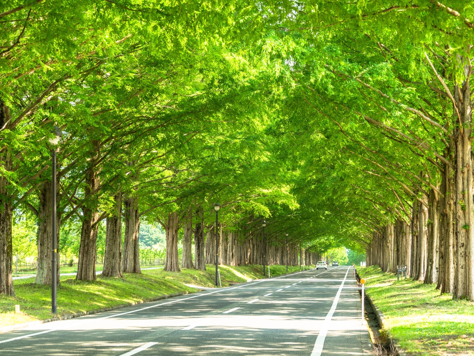 夏に行きたい「滋賀県の穴場秘境」ランキング
