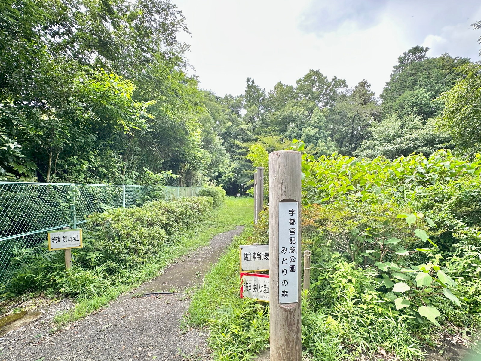 中央林間の写真