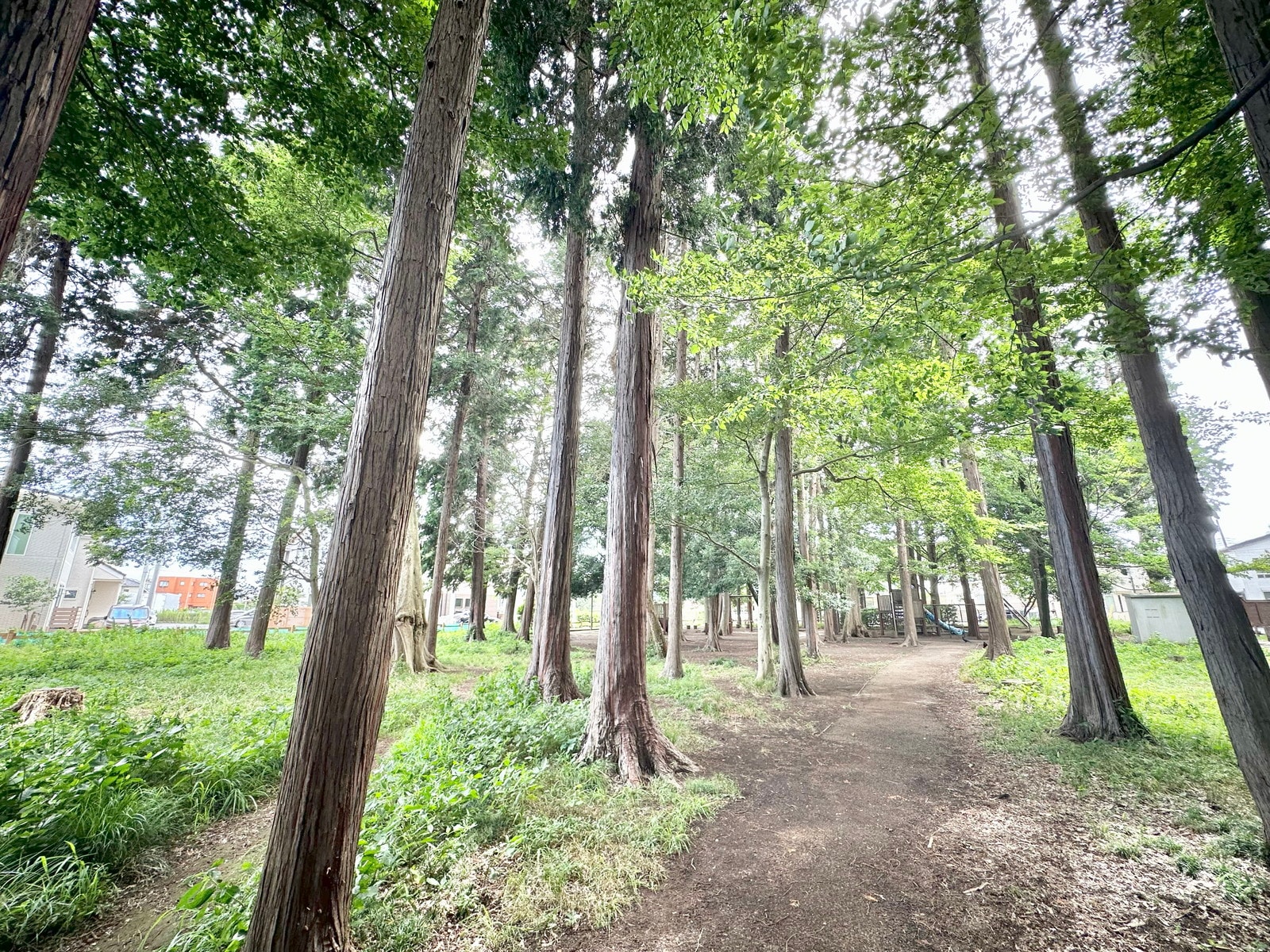 中央林間の写真