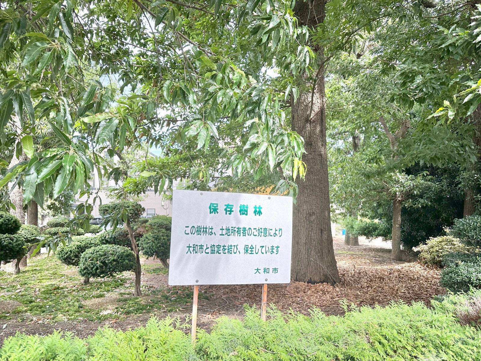 中央林間の写真