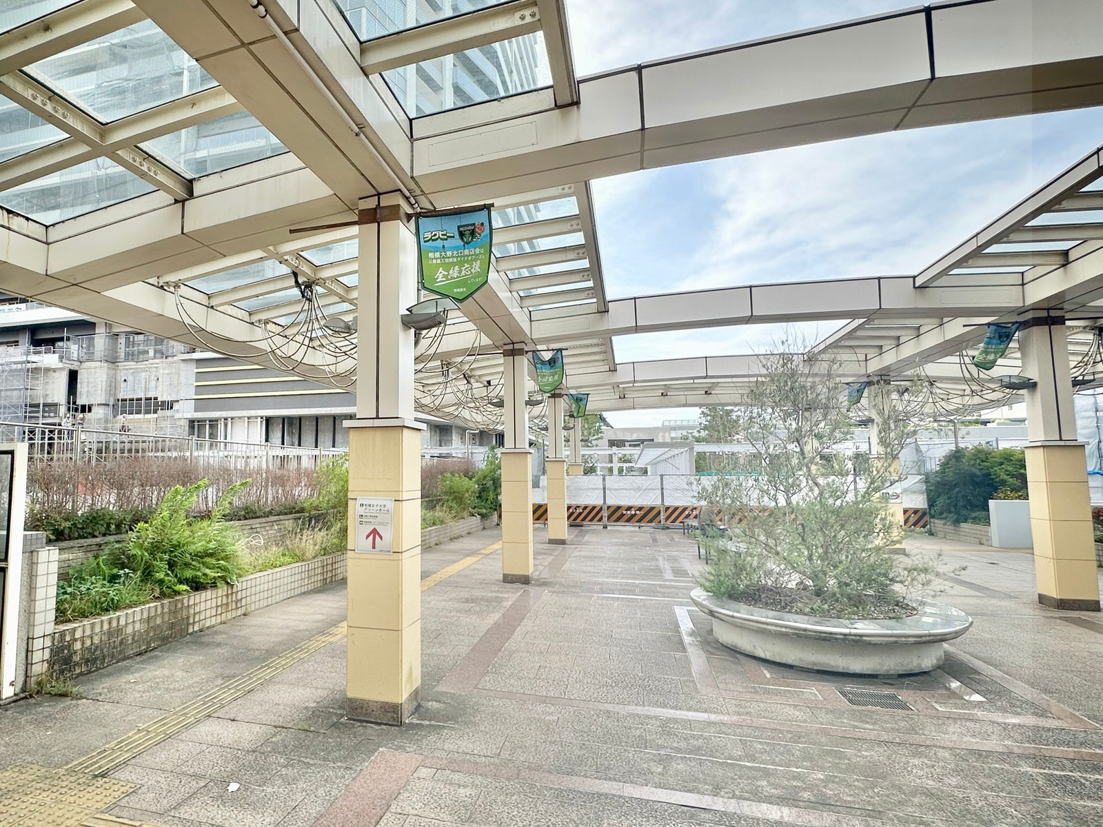 相模大野の写真