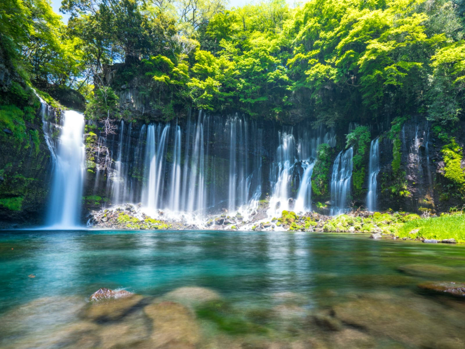 好き＆行ってみたい「静岡県の森林浴スポット」ランキング
