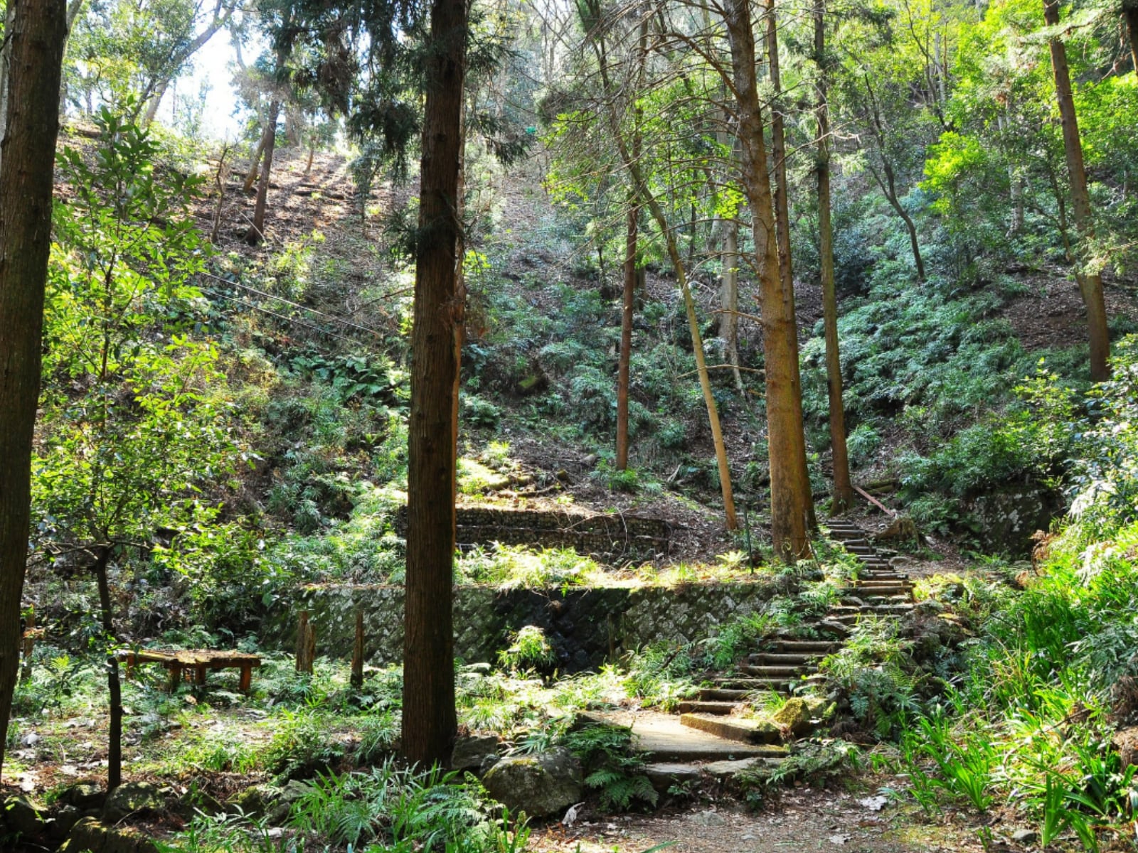 好き＆行ってみたい「石川県の森林浴スポット」ランキング