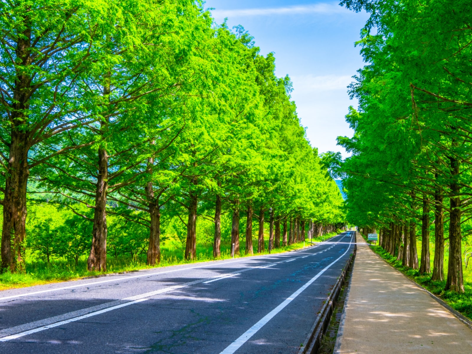 好き＆行ってみたい「滋賀県の森林浴スポット」ランキング