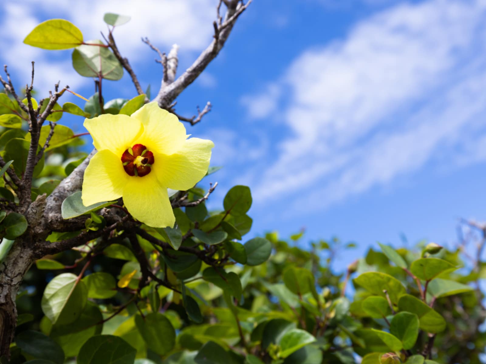 「好き＆行ってみたい東京都のダム」ランキング
