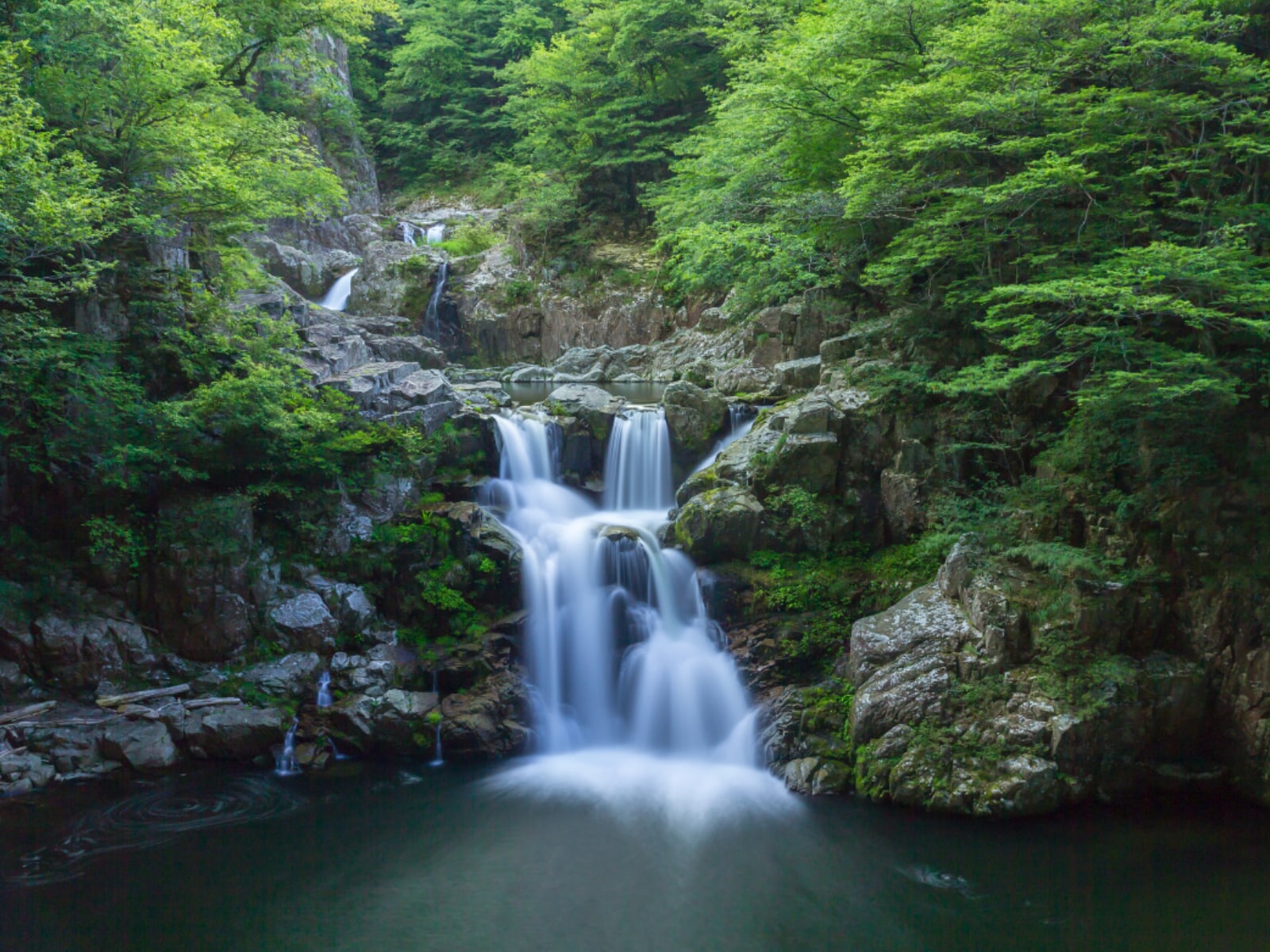 好き＆行ってみたい「広島県の森林浴スポット」ランキング