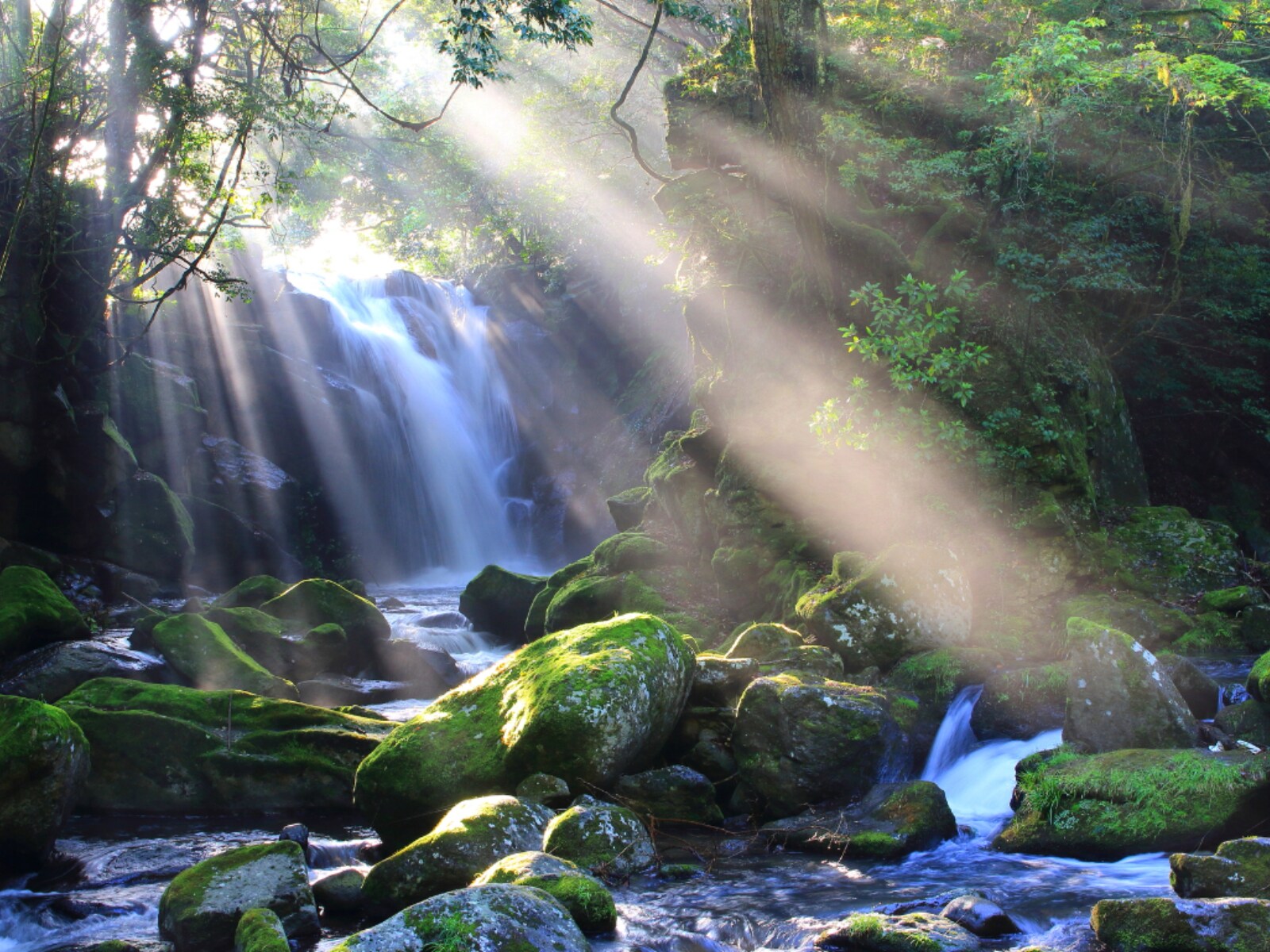 「熊本県で夏に行きたい滝」ランキング