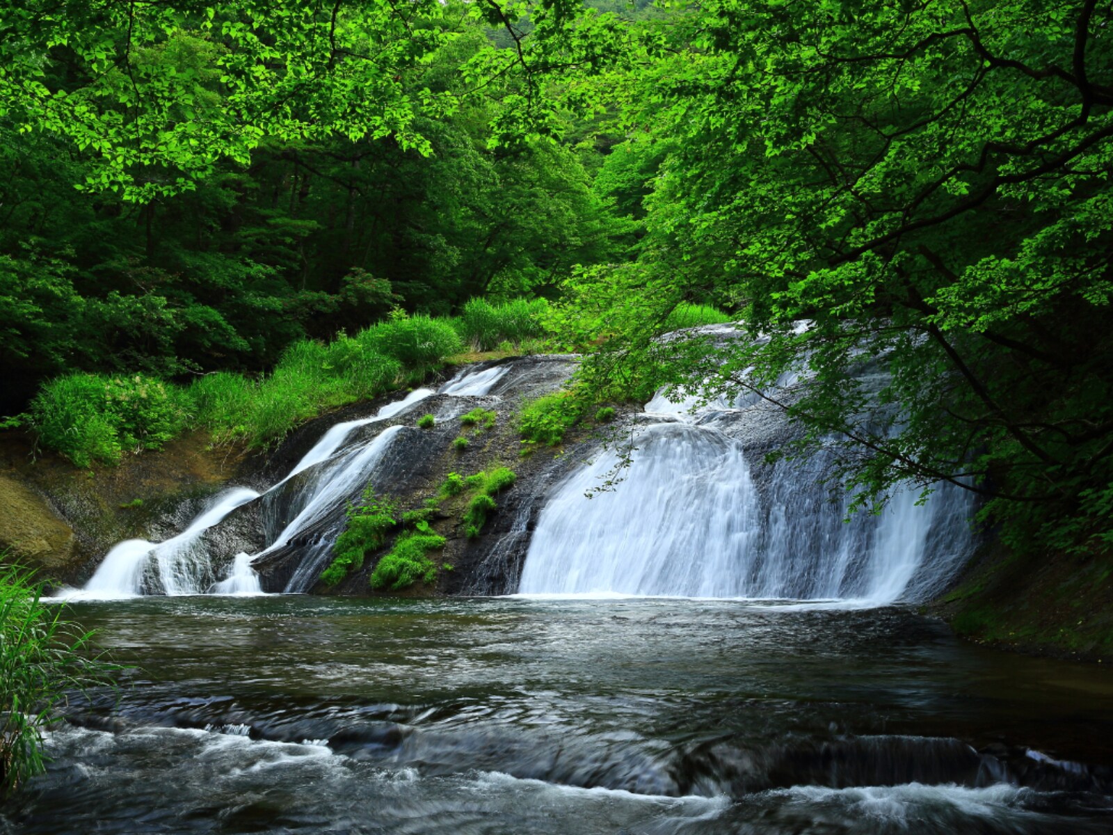 「岩手県で『夏に行きたい滝』」ランキング