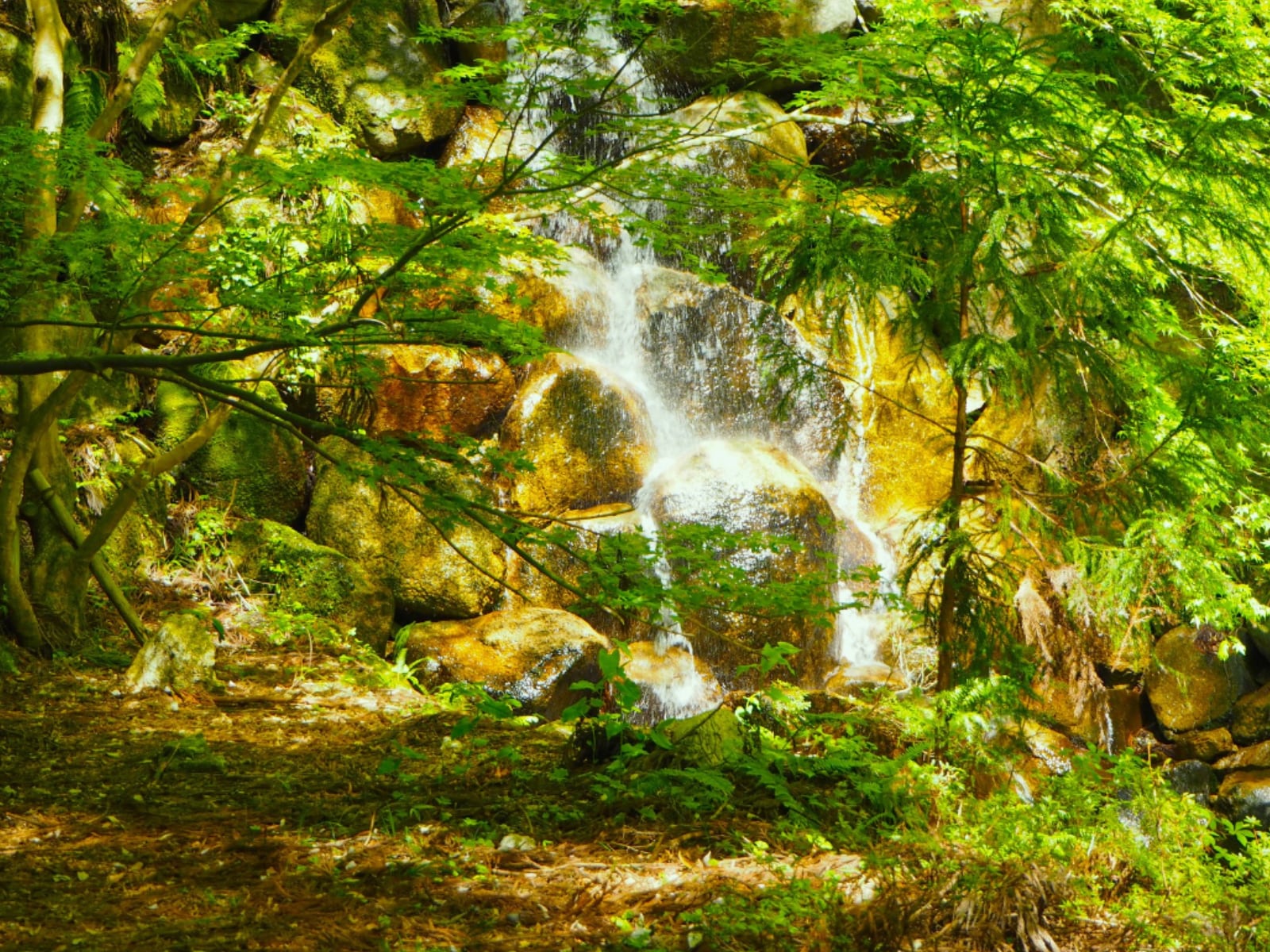 「鳥取県で『夏に行きたい滝』」ランキング