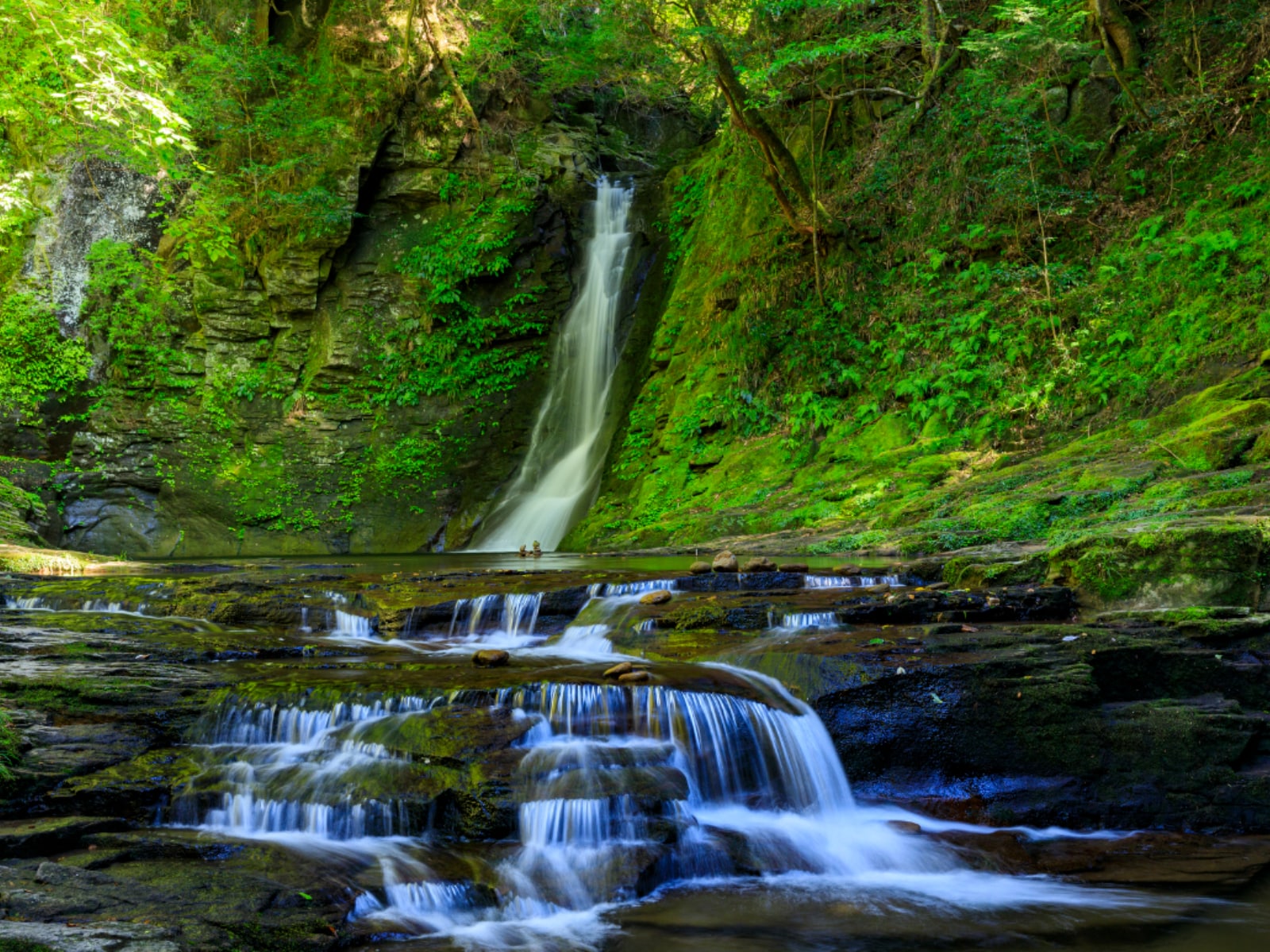 「東海地方の森林浴スポット」ランキング