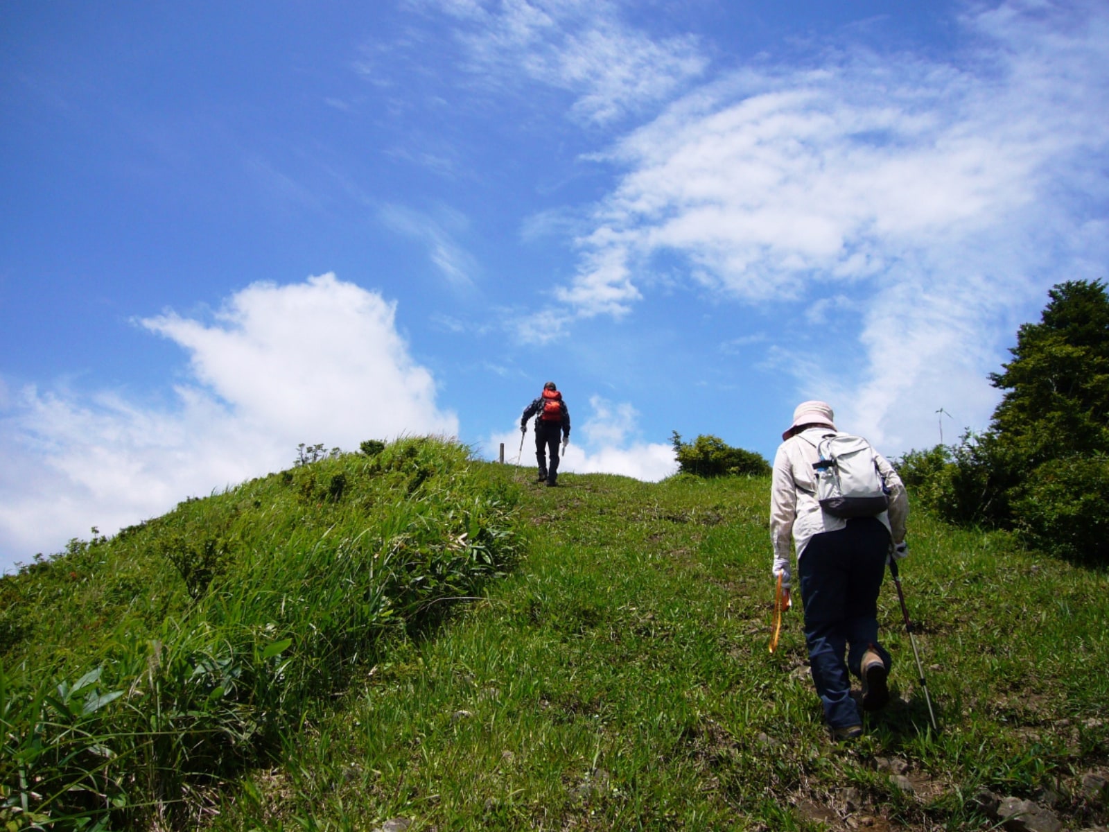 「中国・四国地方の森林浴スポット」ランキング