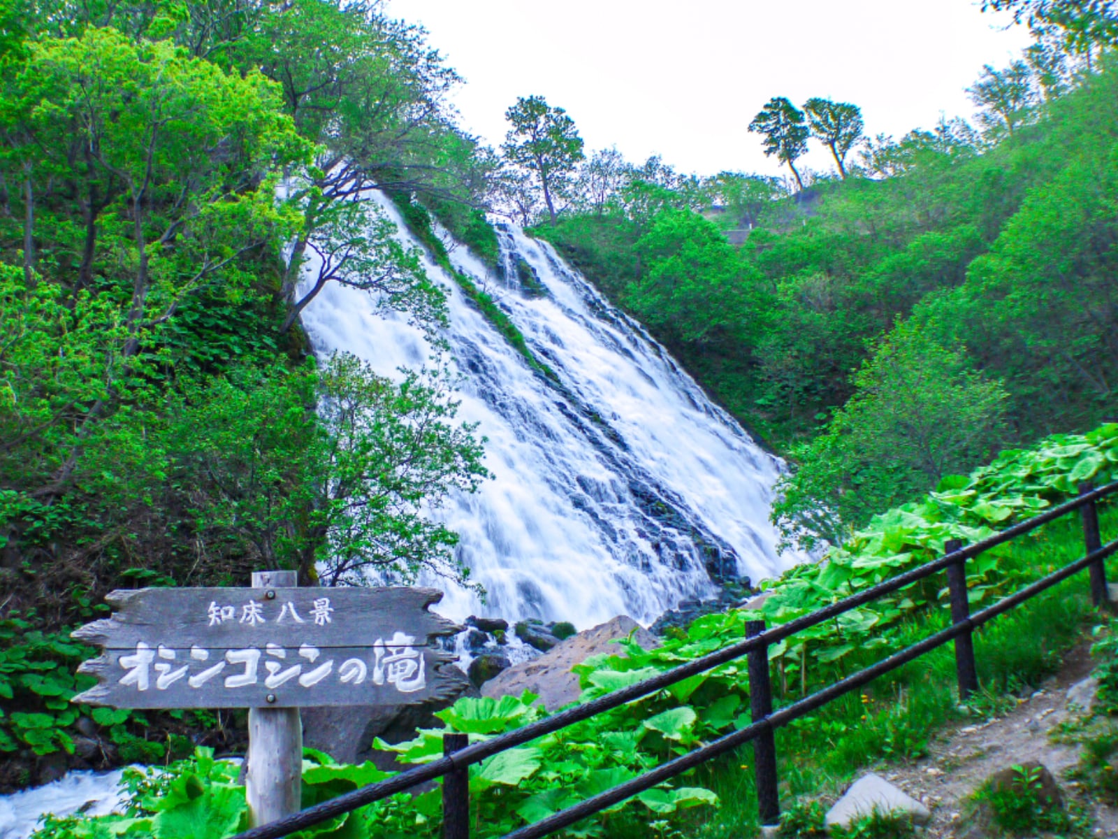 「北海道・東北地方の滝」ランキング