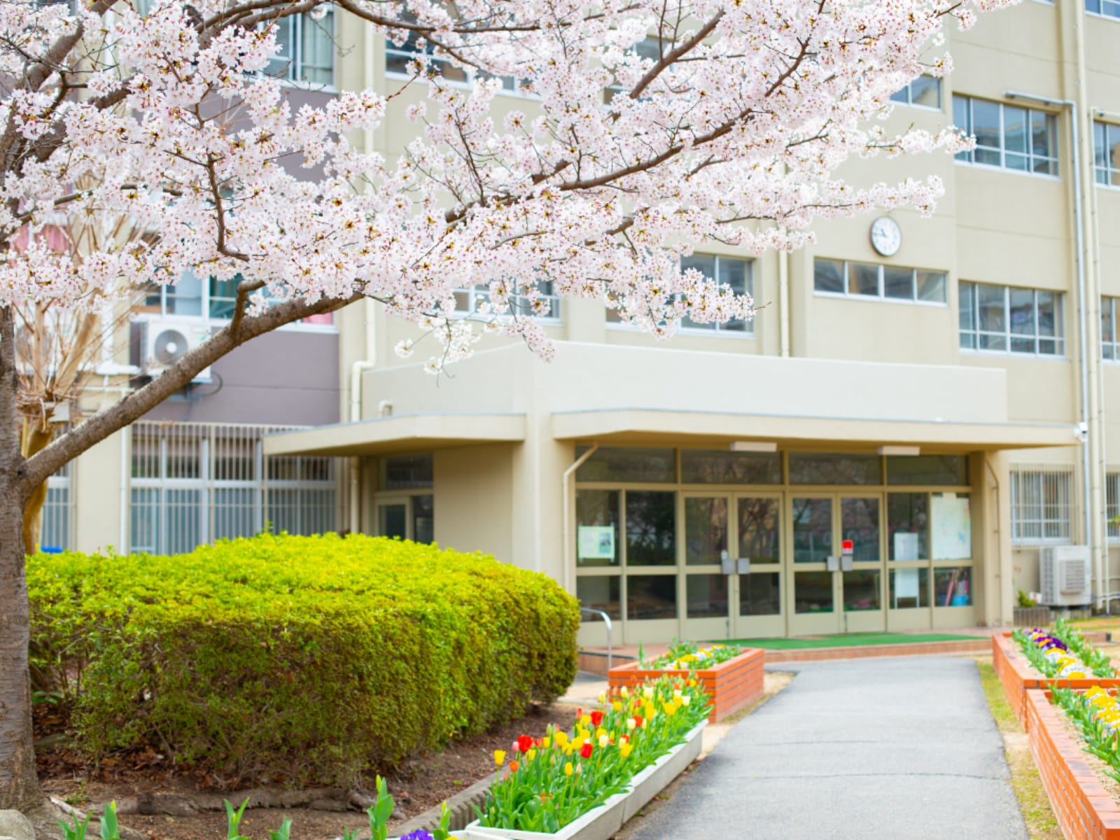 入学したら自慢できそうな「岡山県の公立進学校」ランキング