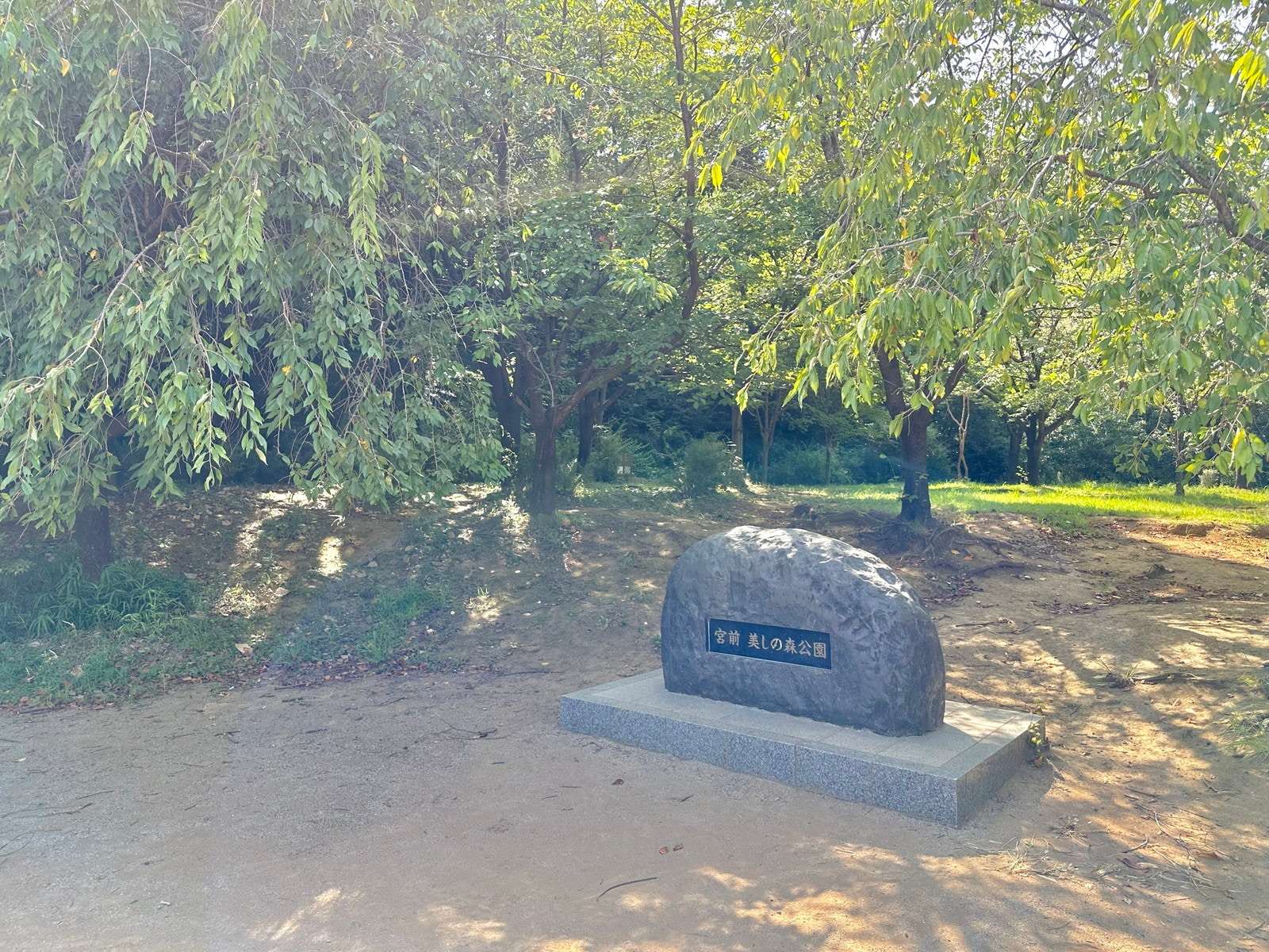 たまプラーザの写真