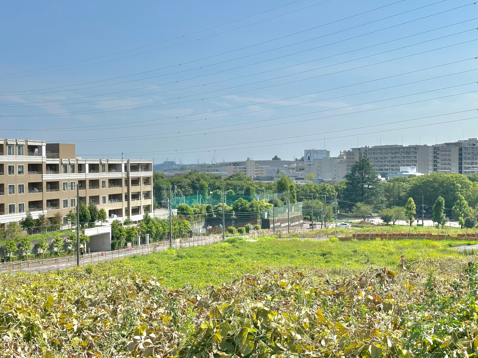 たまプラーザの写真