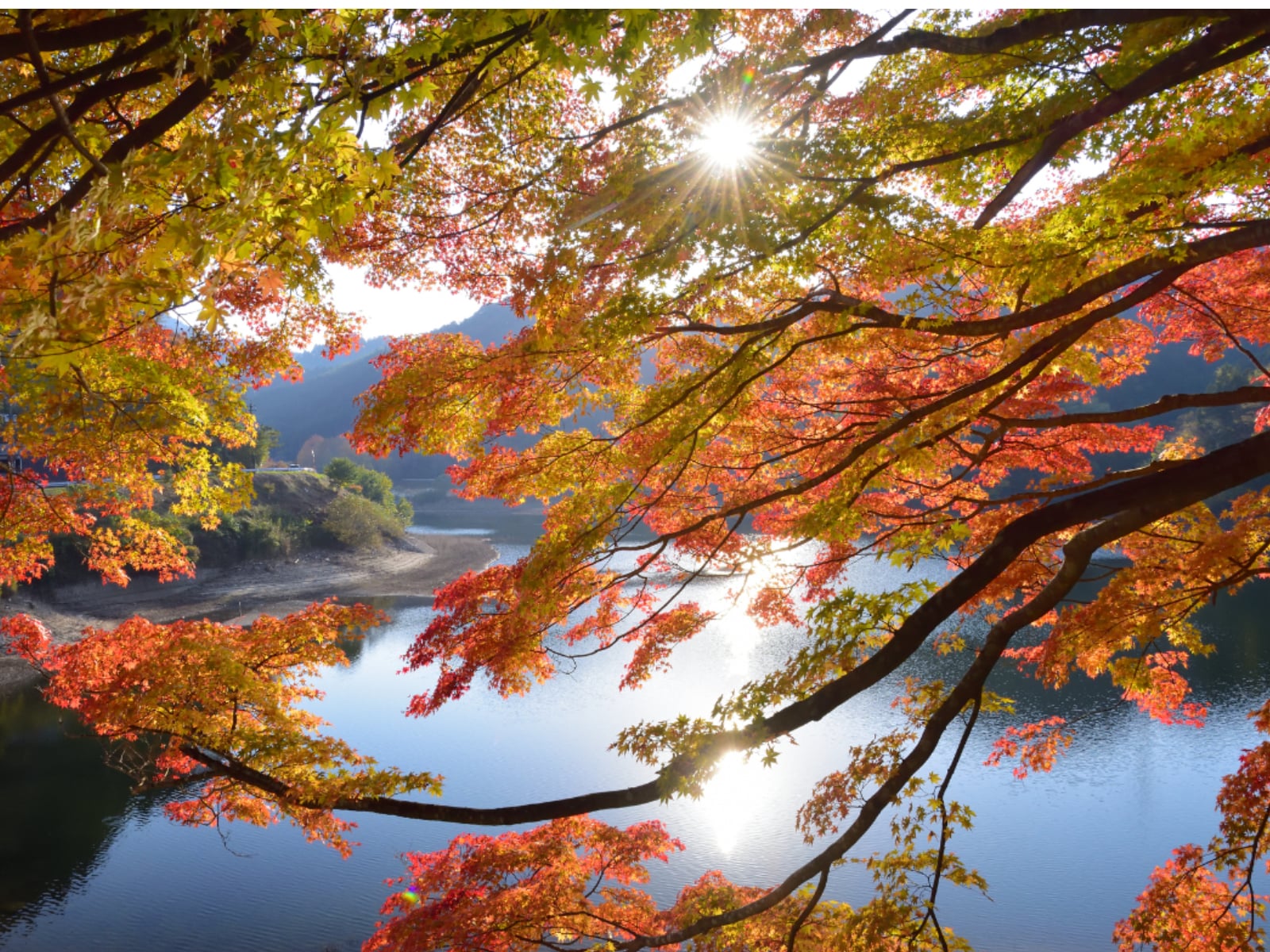 「好き＆行ってみたい『福岡県のダム』」ランキング