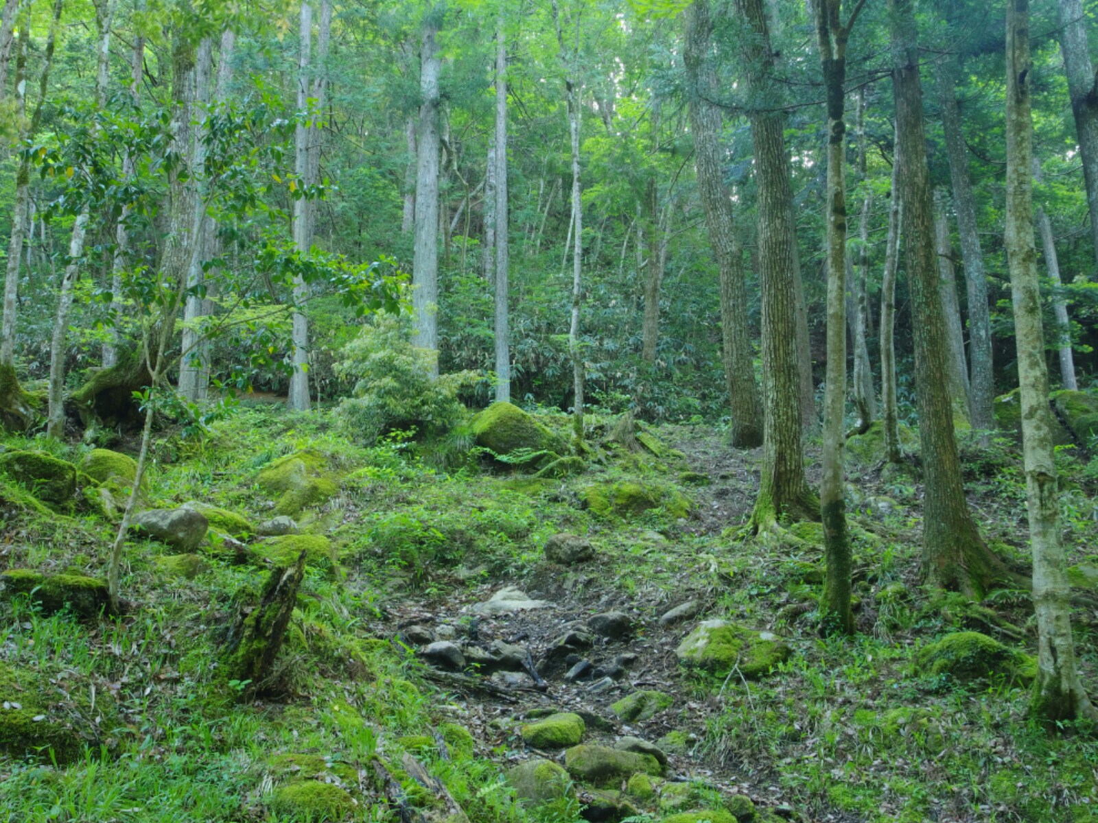 「好き＆行ってみたい広島県のダム」ランキング