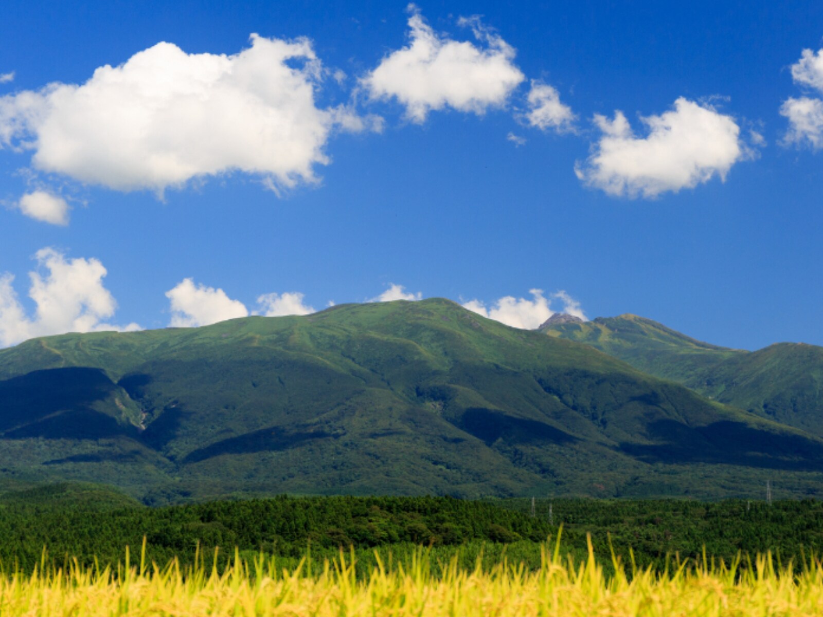 「絶景が楽しめると思う秋田県の道の駅」ランキング
