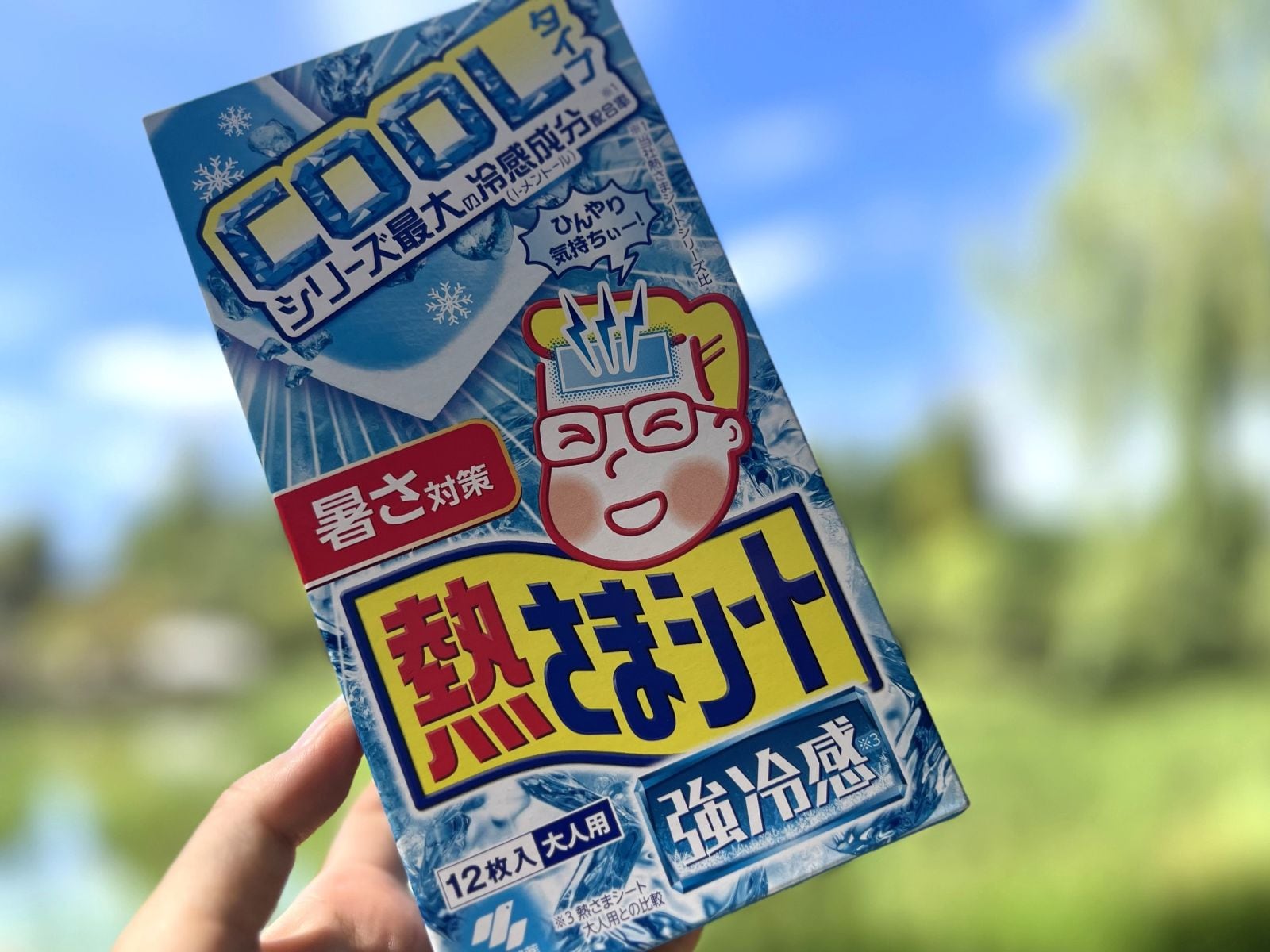 「熱さまシート 強冷感」はシリーズ最大の冷感成分配合（All About ニュース編集部撮影）