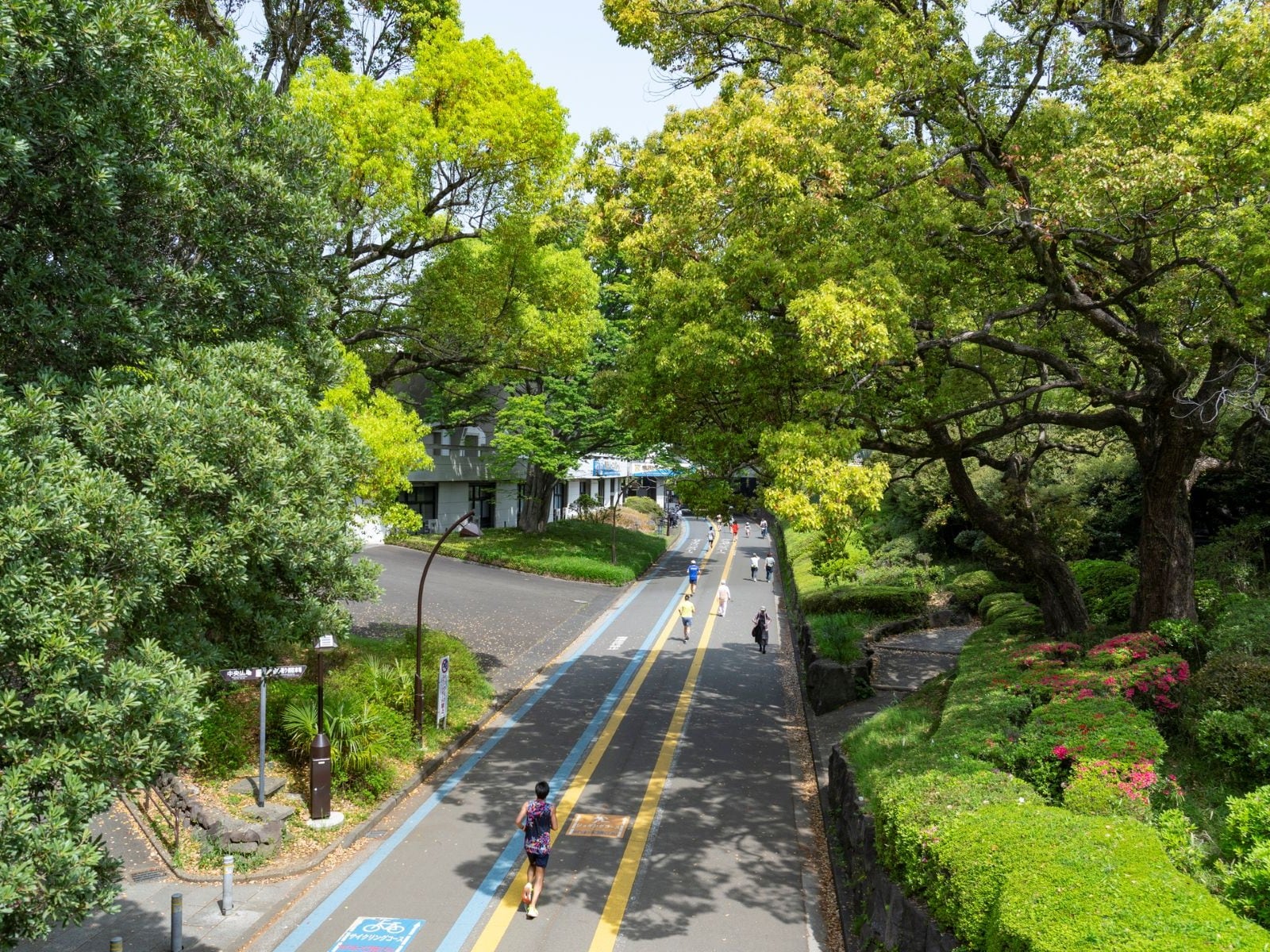 駒沢オリンピック公園