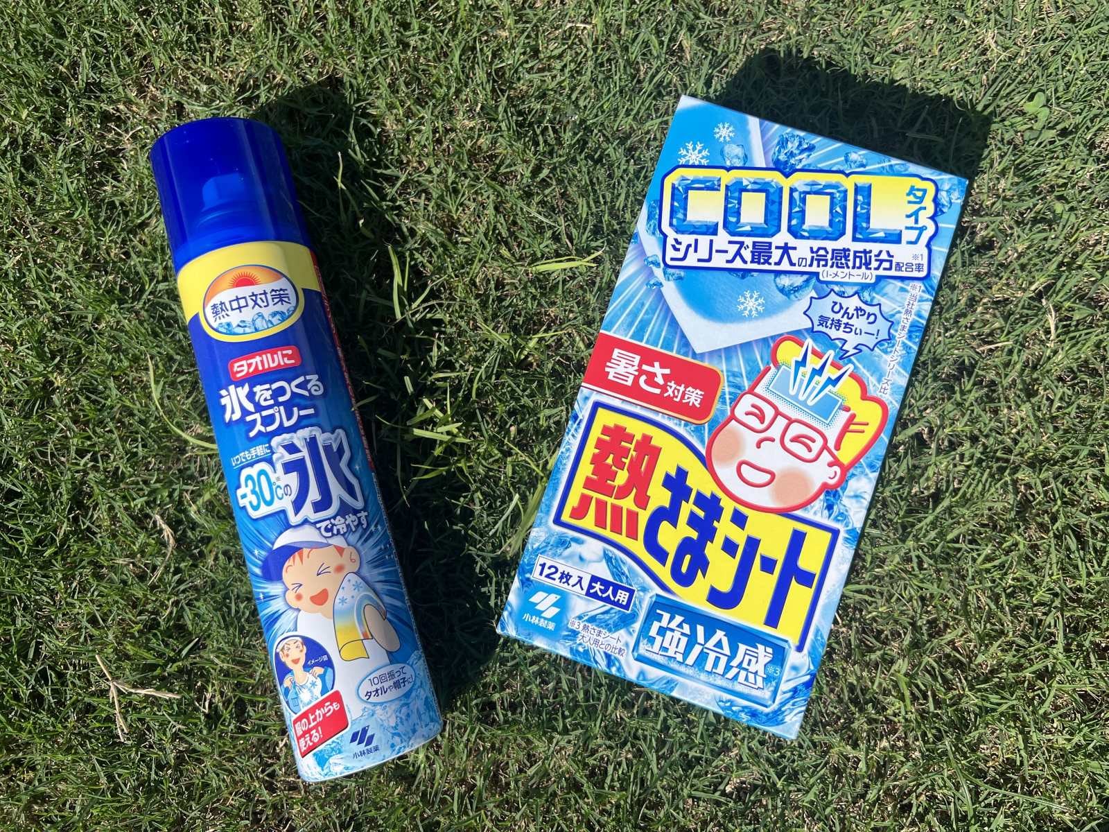 暑い日のスポーツ観戦やおでかけ時に携帯したい（All About ニュース編集部撮影）