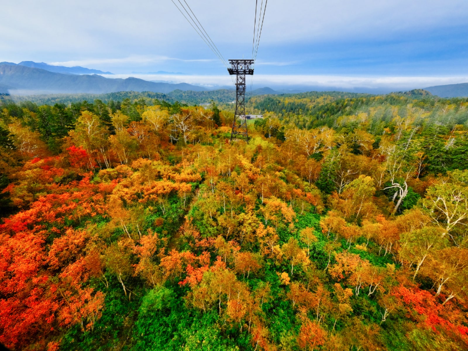 「北海道の紅葉スポット」ランキング