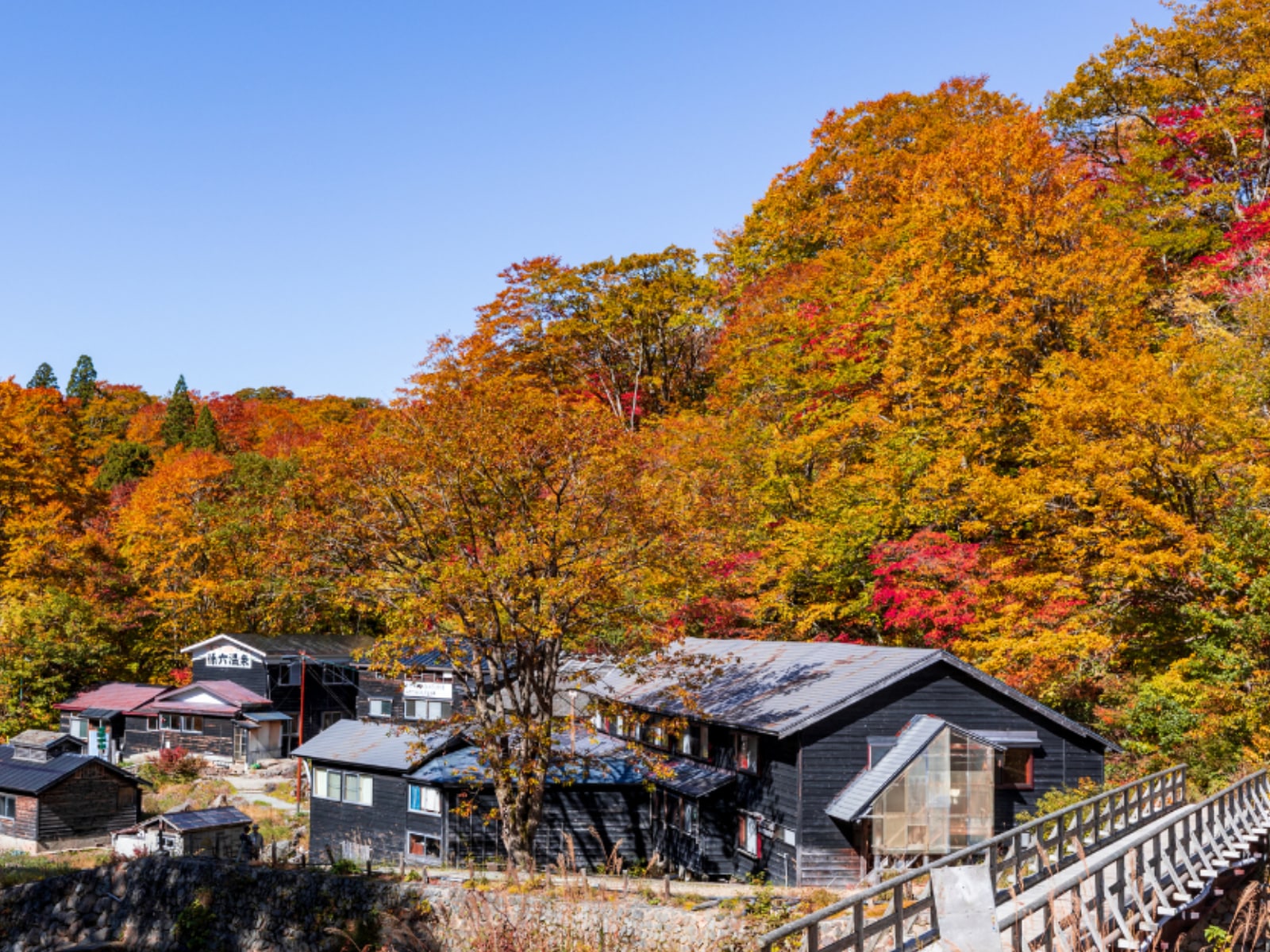 「秋田県の紅葉スポット」ランキング