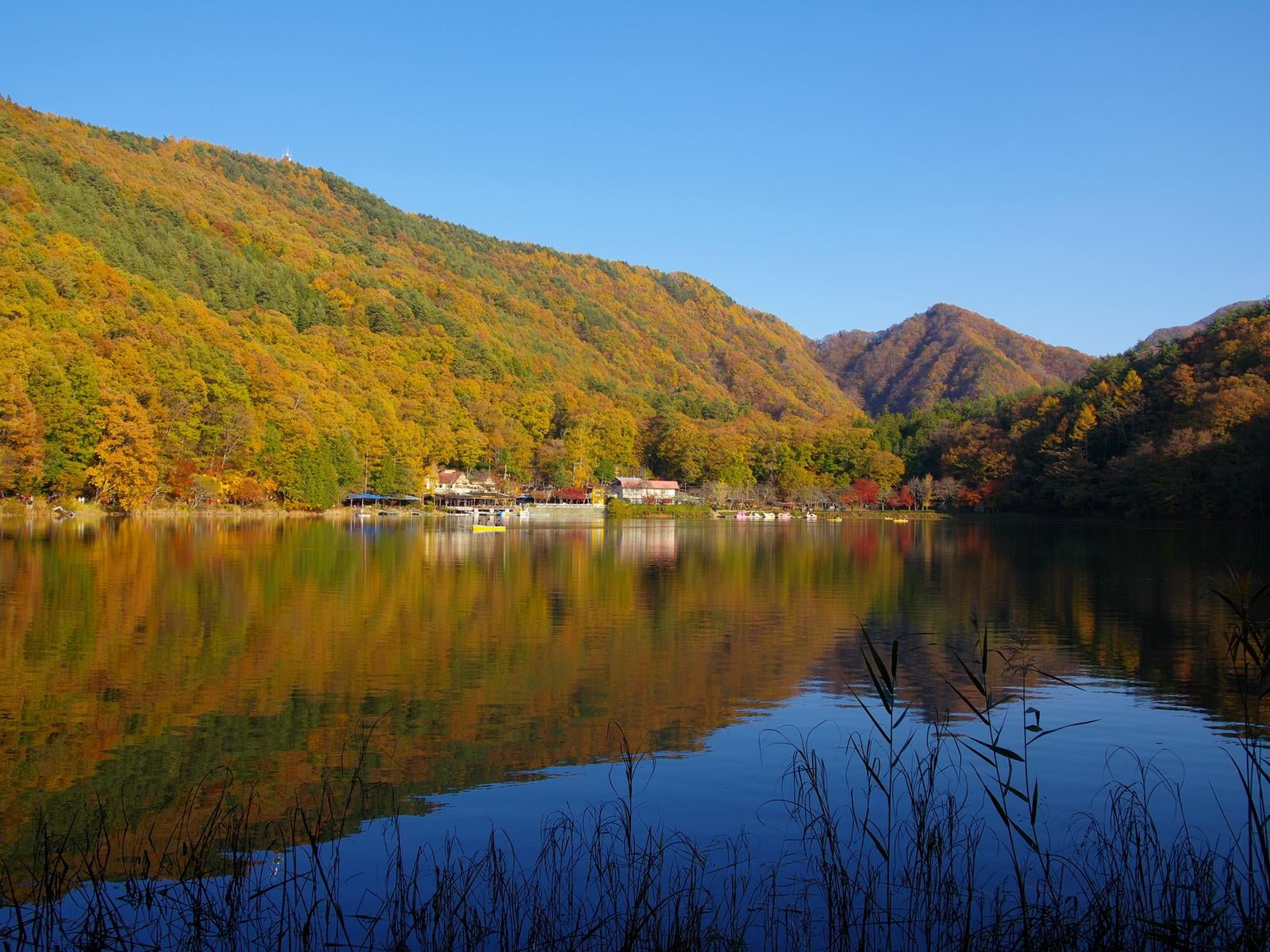 山梨県民が選んだ「住み続けたい自治体」ランキング