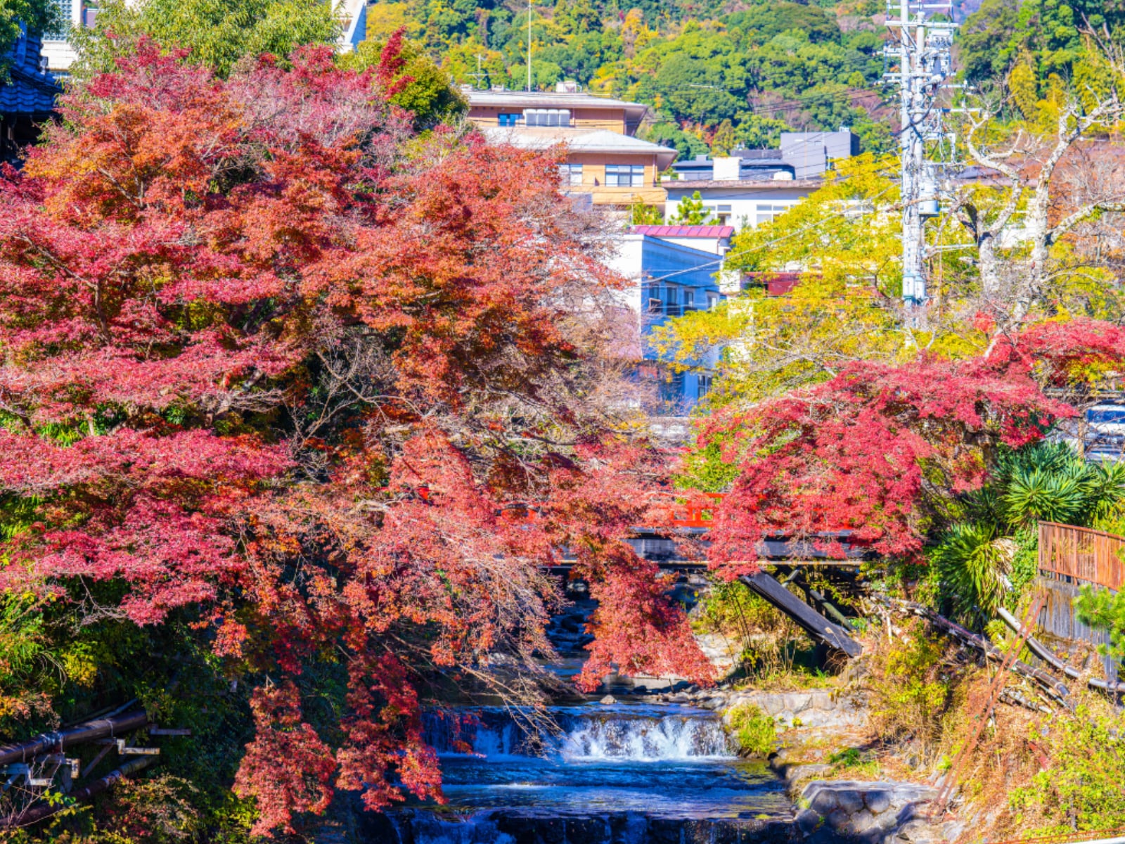「神奈川県（箱根・湯河原エリア）の温泉地」ランキング