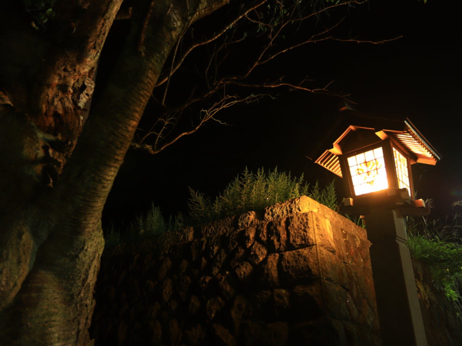 夜景が美しいと思う「栃木県の温泉地」ランキング