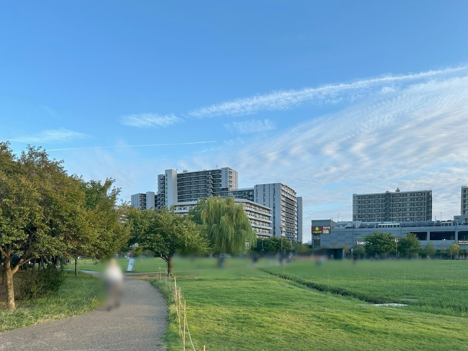 公園内は広葉樹や小川・橋まで点在しています