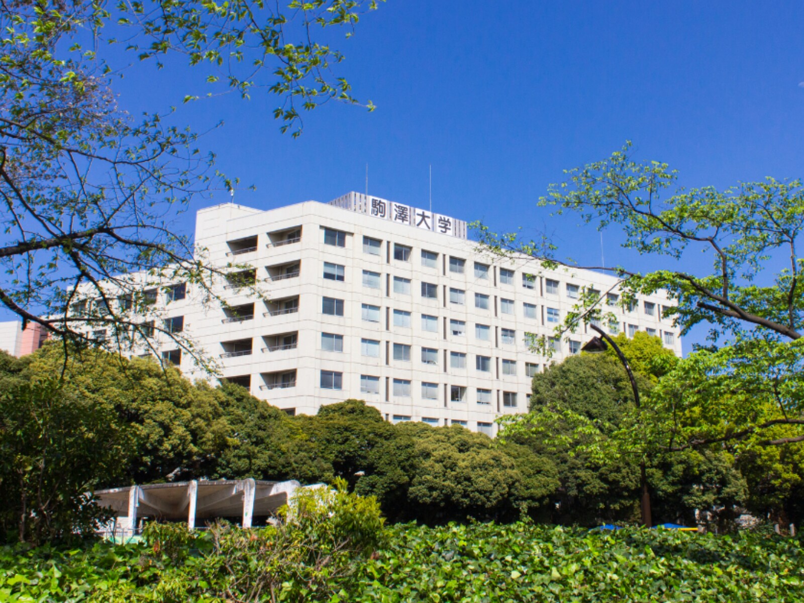 「日東駒専の中で最も子どもを進学させたい大学」ランキング