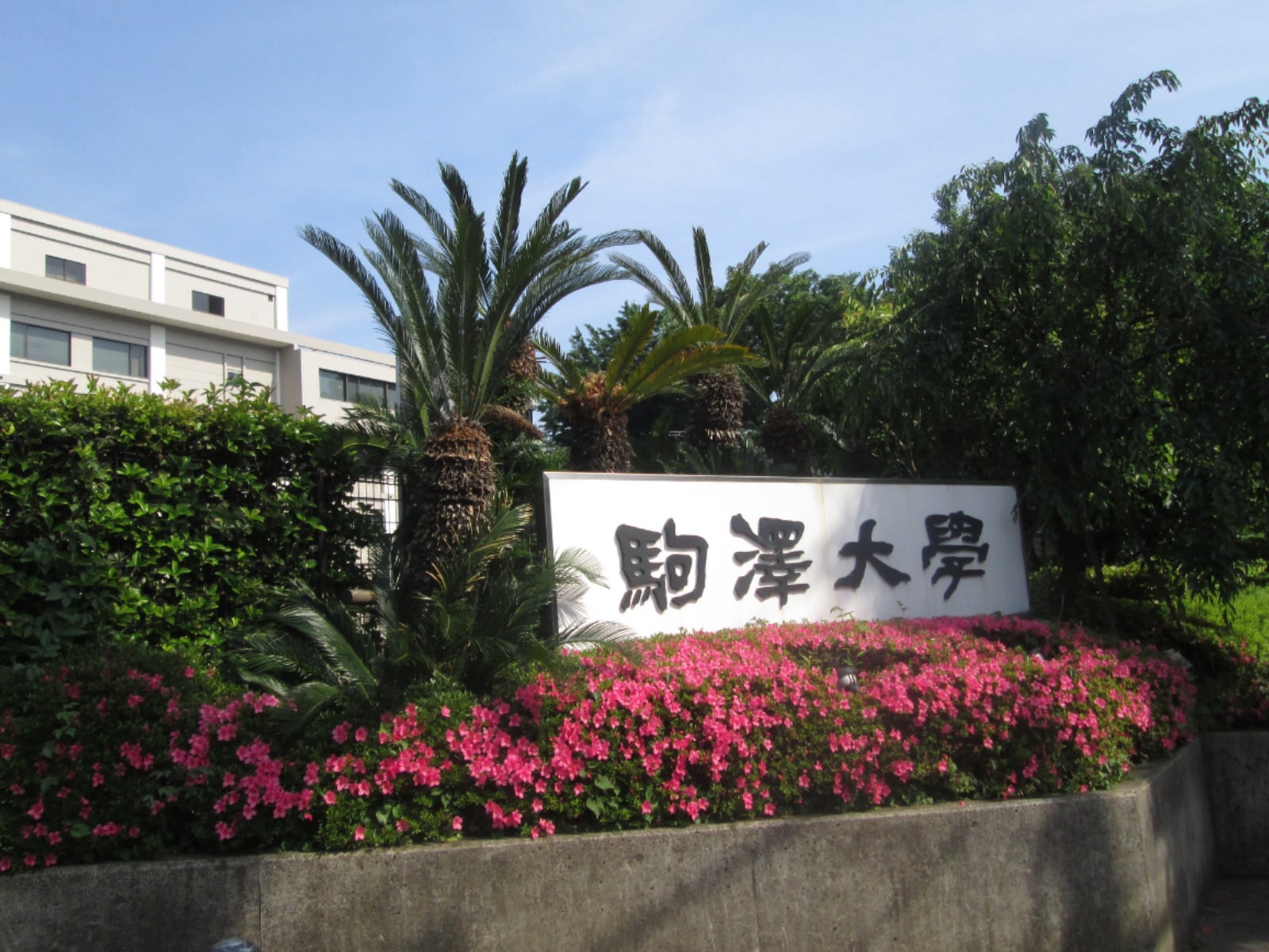 「日東駒専の中で最もネームバリューが高いと思う大学」ランキング