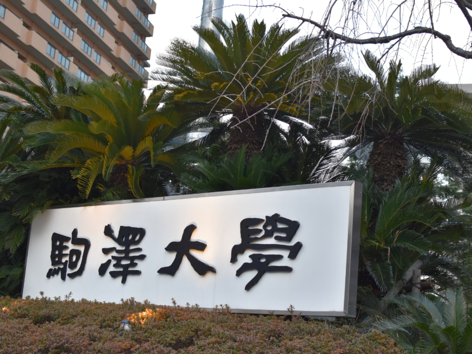 「日東駒専の中で最も知名度が高いと思う大学」ランキング